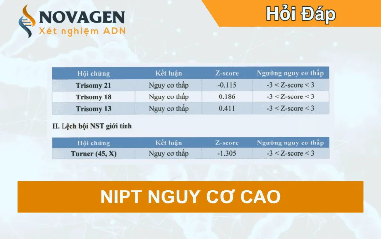 NIPT nguy cơ cao phải làm gì? Quy trình tư vấn, chọc ối và xét nghiệm di truyền trước sinh