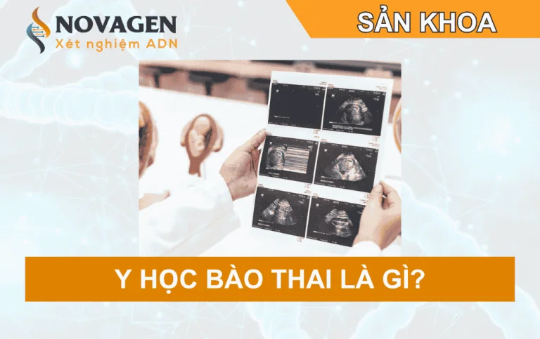 Y học bào thai là gì? Vai trò trong sàng lọc, chẩn đoán và theo dõi thai nhi