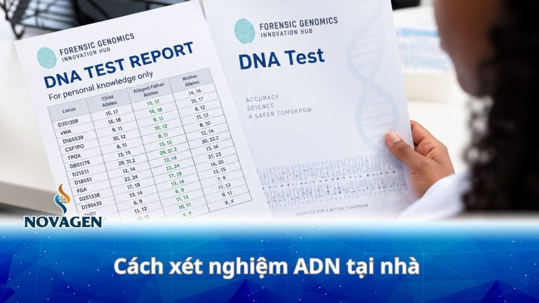Cách xét nghiệm ADN tại nhà – Quy trình và dịch vụ uy tín, chính xác