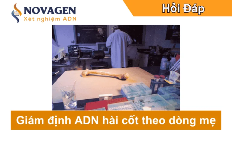 Công nghệ giám định ADN hài cốt theo dòng mẹ