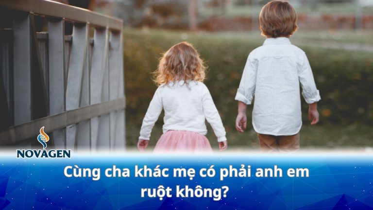 Cùng cha khác mẹ có phải anh em ruột không? Giải thích dựa trên cơ sở pháp lý và di truyền
