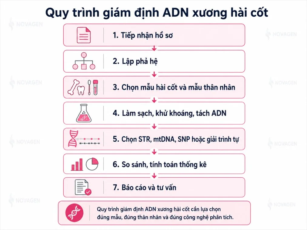 Quy trình giám định ADN hài cốt từ tiếp nhận hồ sơ đến đối chiếu thân nhân và báo cáo kết quả.