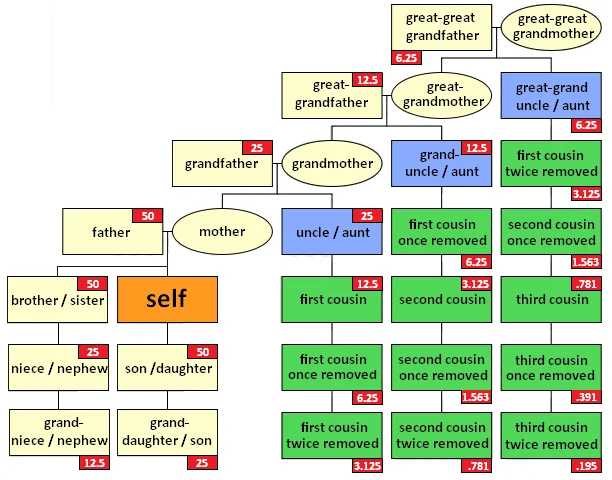 tỷ lệ phần trăm ADN giống nhau