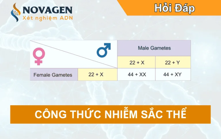Công thức nhiễm sắc thể ở người