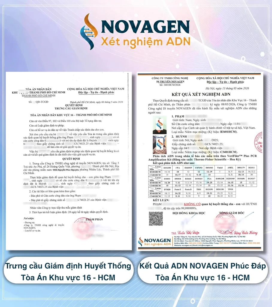 Trưng cầu giám định của Tòa án TP. HCM