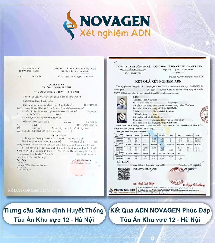Trưng cầu giám định của Tòa án Hà Nội