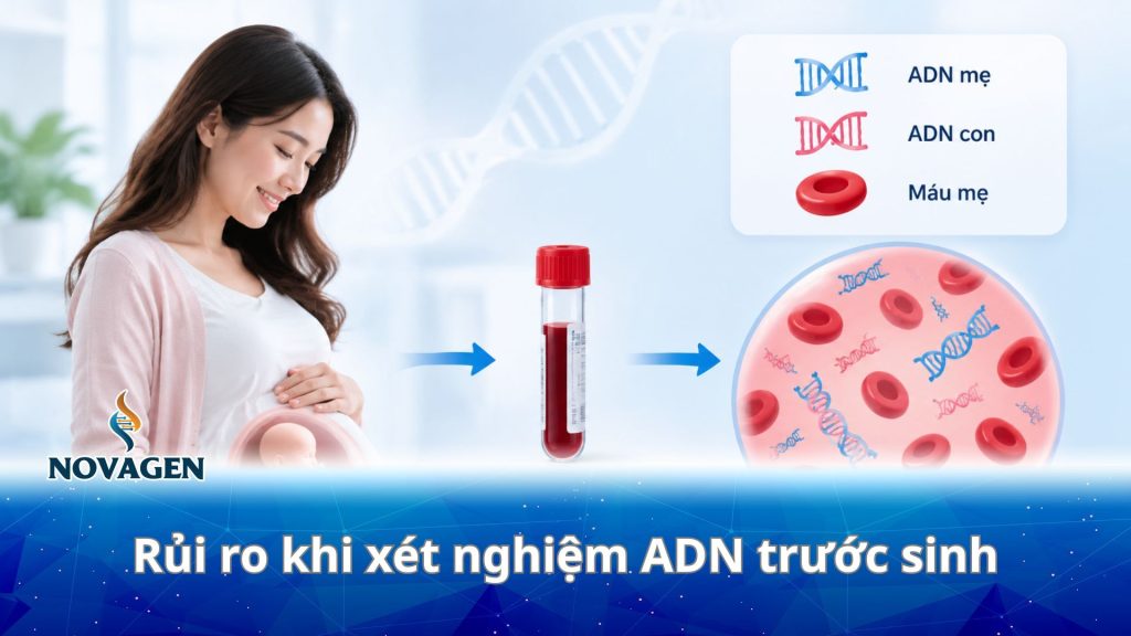 Xét nghiệm ADN trước sinh có rủi ro gì không? Lời giải từ chuyên gia