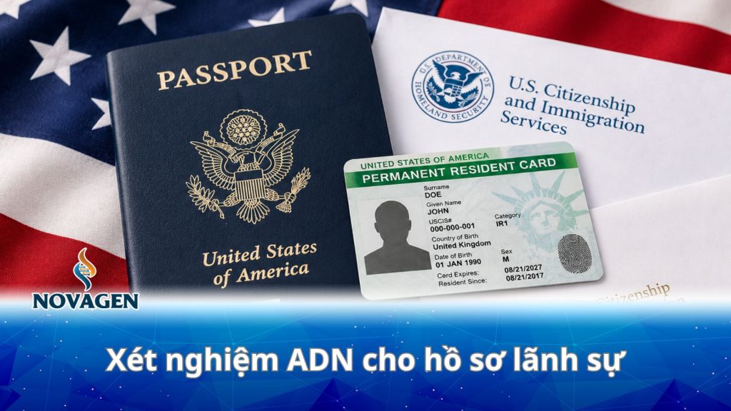 Xét nghiệm ADN cho hồ sơ lãnh sự: Quy trình, chi phí thực hiện và 4+ lưu ý quan trọng