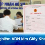Cập nhật thủ tục xét nghiệm ADN làm giấy khai sinh 2026: Chi phí, Quy trình, Địa chỉ uy tín