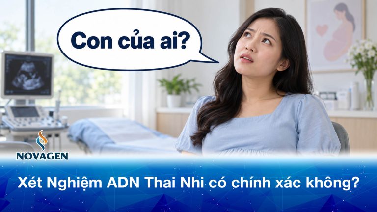 Xét nghiệm ADN thai nhi có chính xác không? Các yếu tố ảnh hưởng đến kết quả