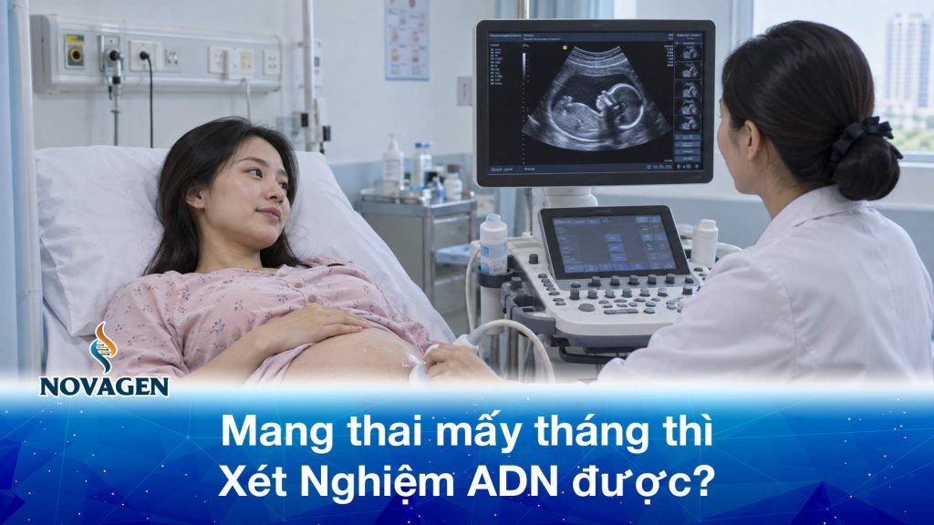 Mang thai mấy tháng thì xét nghiệm ADN được? Chi phí và địa chỉ thực hiện?