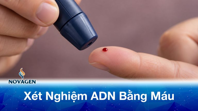 Xét nghiệm ADN bằng máu: Chi phí, quy trình và độ chính xác